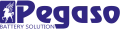 Pegaso Srl logo